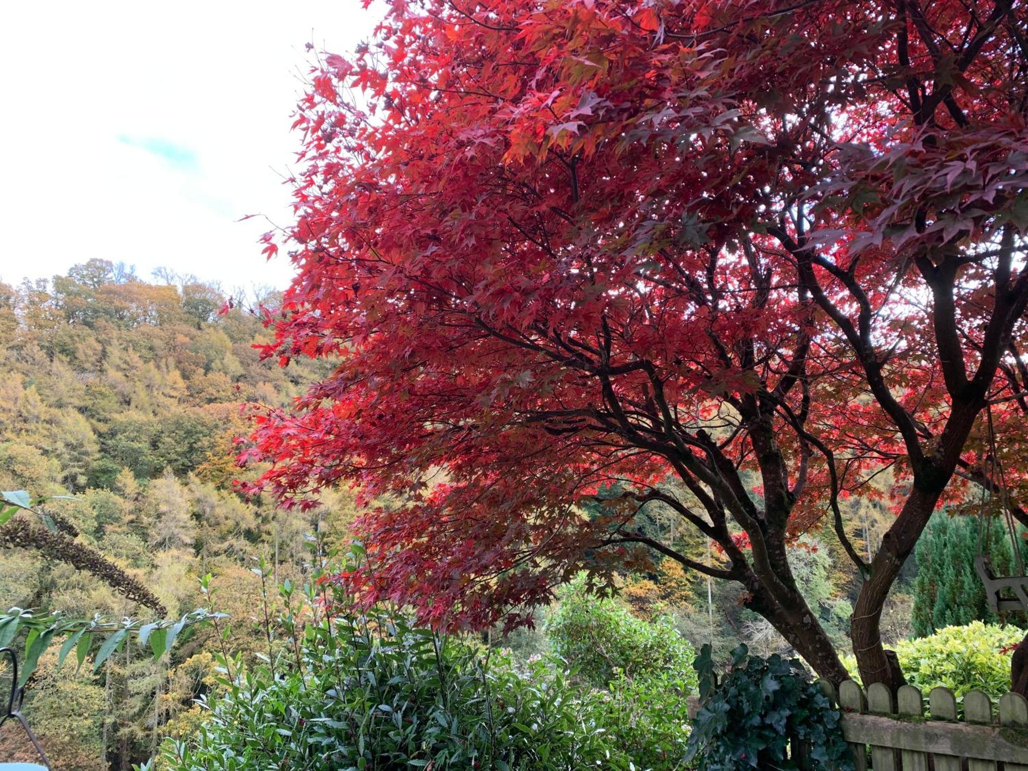 Pine Lodge ลินตัน ภายนอก รูปภาพ